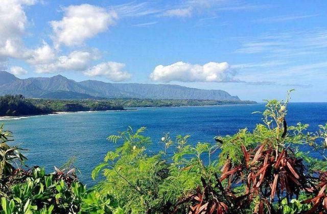 全球最潮湿的地方，每年平均有335天下雨，却形成了一处独特风