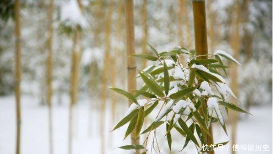  「冬日」雪竹，就是最美的冬日诗词