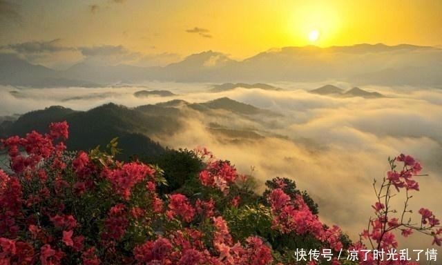 安徽最好玩的“10”大旅游景区，可以考虑去玩玩