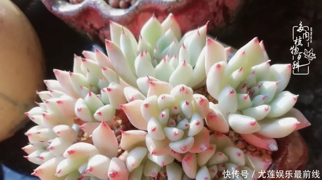 『那种』我爱的,就是你的存在!只要努力该来的都在路上!