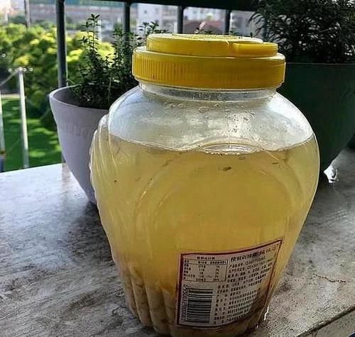  『绿萝』如何做出绿萝爱喝的'酸水'往黄豆汤里加点它们，肥效更好
