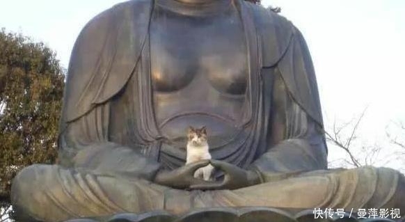 游客给佛像拍照，却拍到了这样一幕，网友：佛祖原来也好这一口！