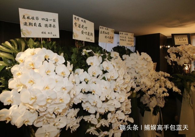 高以翔幕地图片