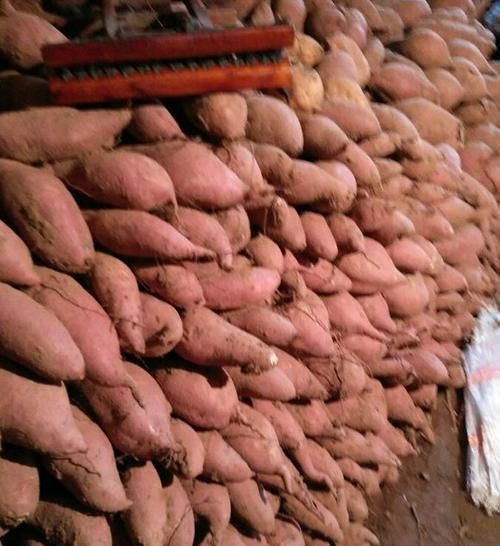  「心酸」曾卖3元，现在堆在路边不要钱也无人问津，看农民的裂手