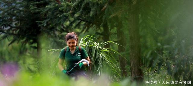 她身价百万，却返乡独住无人山坡，两年后乡亲刮目相看