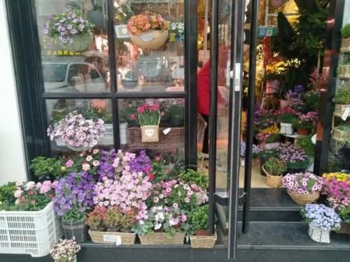  以无：在心里种花，人生不会荒芜