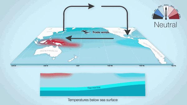 厄尔尼诺又现骆驼峰，河南，河北局部“偏红”，或将迎40度高温