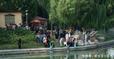 市内公园，竟钓起长江“水老虎”，能长到三百斤！