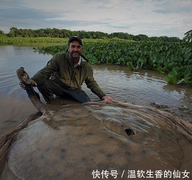 强烈要求李大毛老师停止游钓中国, 远征湄公河降服真正的巨物