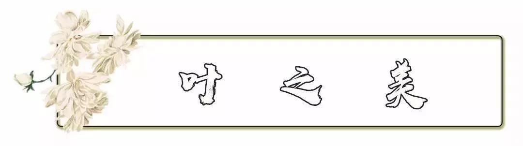 秋天洛阳12处景点,我劝你千万不要来,太美了