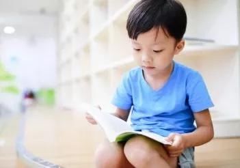  「宝宝」树袋宝宝深度分析针对性的锻炼宝宝记忆力！