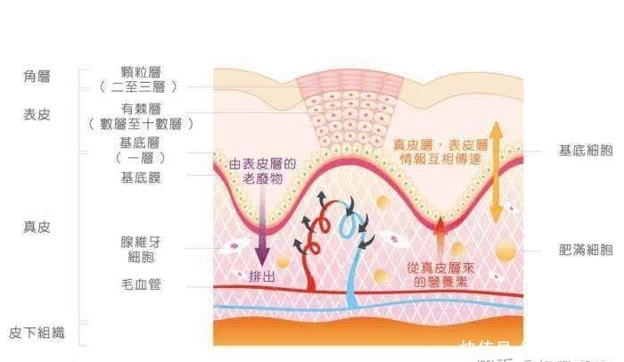  持续改善敏感肌肤：敏感肌真的能改善吗，别做梦了