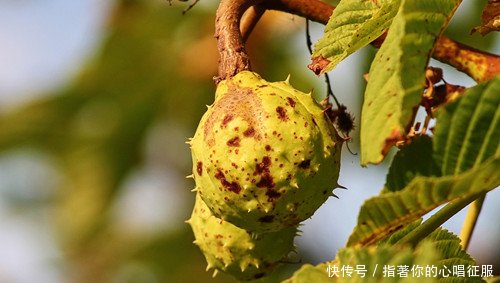 导致农产品滞销的5大谣言，“谣言坑农”该停止了！