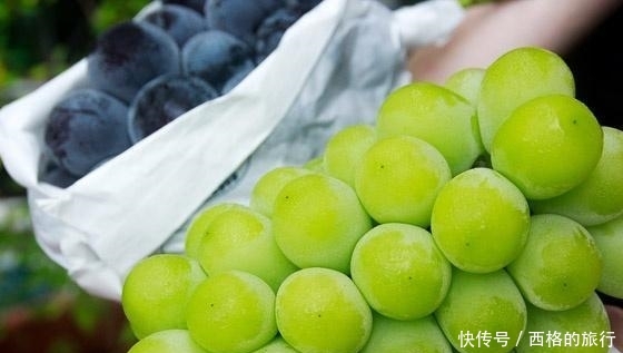 中国小伙去日本旅游,发现日本的葡萄论颗卖?网友:差距真大