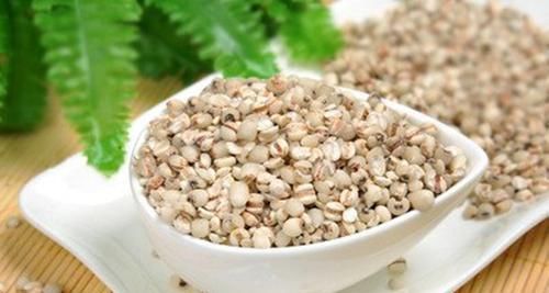  『薏仁』去湿的几种食物，燕麦促进肠胃蠕动，薏仁促进体内血液循环