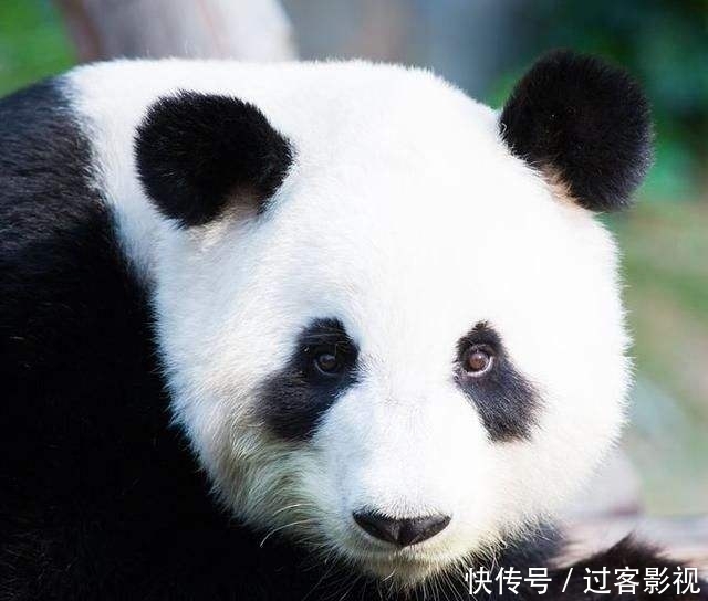  【就要】5种原因易导致黑眼圈！如果不熬夜也发黑，就要小心了