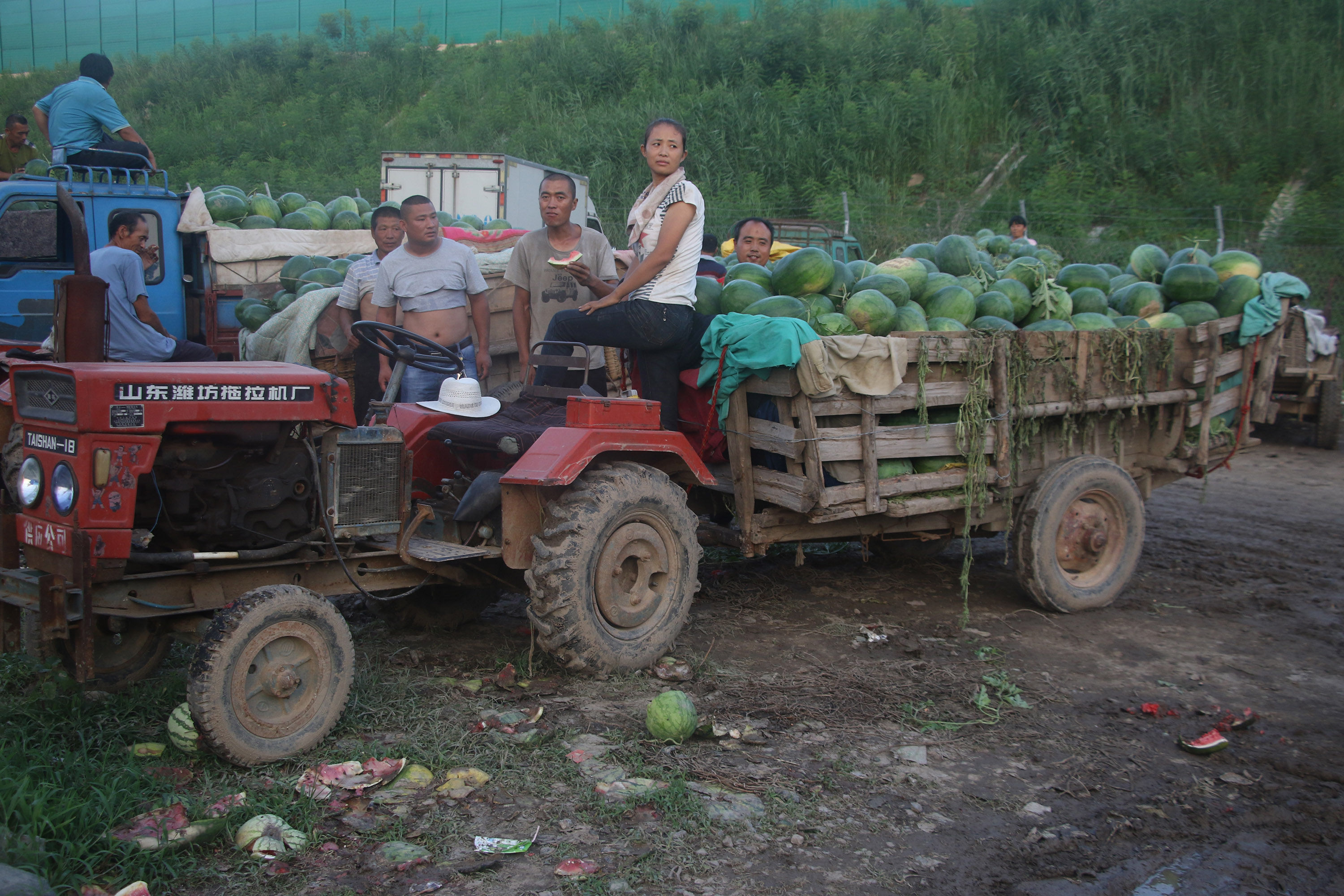 万斤西瓜多卖800元只因一招，农村美女大姐开心数钱