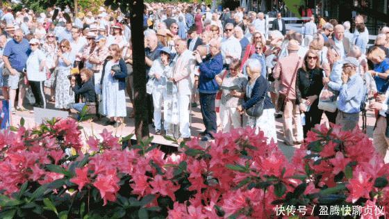 这部纪录片央视发力了,每一帧都可以当壁纸,BBC也无法超越