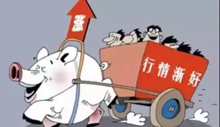 从发生非瘟到复养，需要多久时间？养殖户复产要这些经历的流程