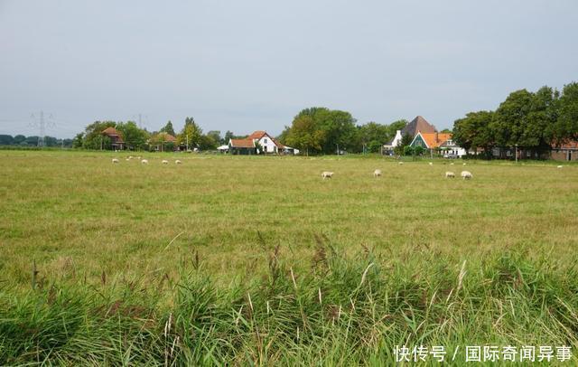 高度发达国家的农村风景——荷兰农村是这个样子的