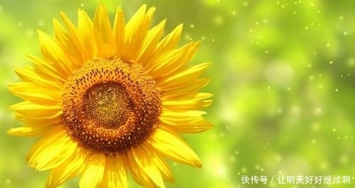 想要|想要放下一个人,不是刻意删除微信,而是必须做到不打扰