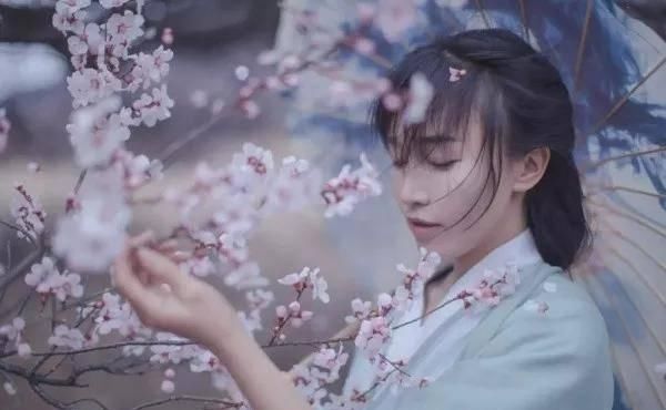  乡村旅游■李子柒的后院火了，2000万游客：这才是我想去的乡村