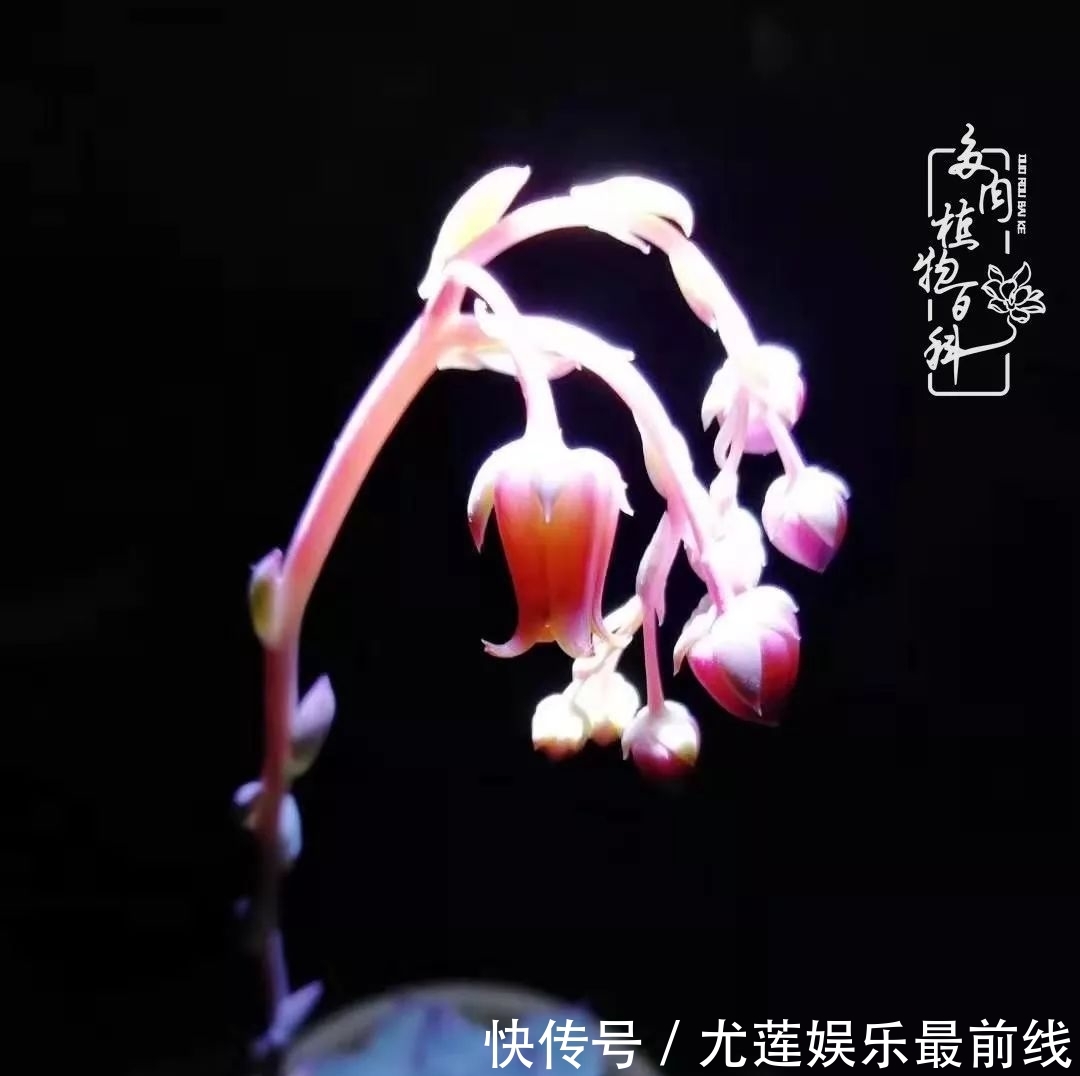  『那种』我爱的，就是你的存在！只要努力该来的都在路上！