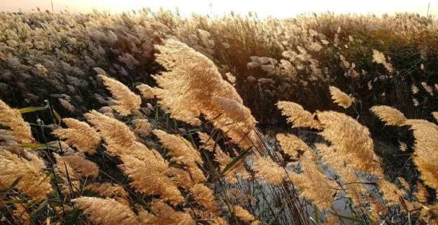  「重启」不能重启的2020，接下来的日子在天津要这样过！