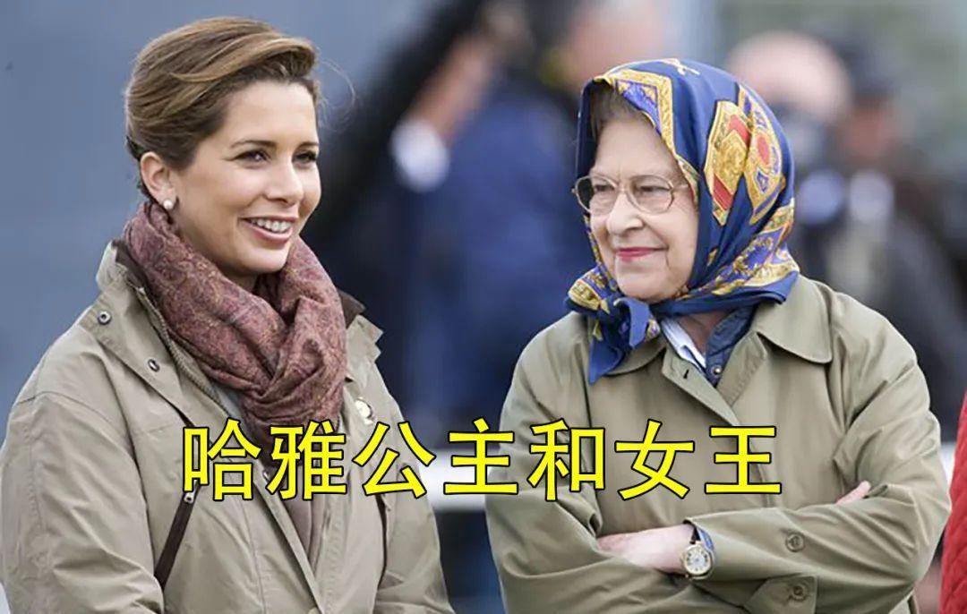  正义@正义绝不会缺席！哈雅公主获娘家人支持，怒揭迪拜酋长6条罪状！