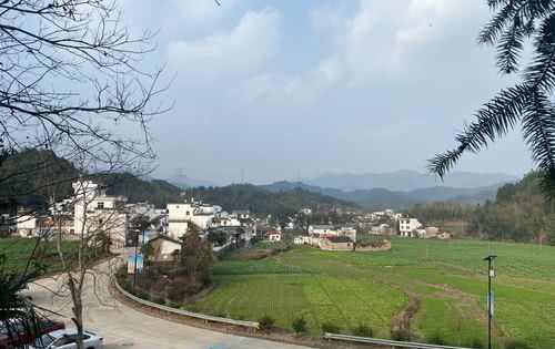  「城市」疫情过后，有人说会掀起一股“农村热”潮，小伙伴你们