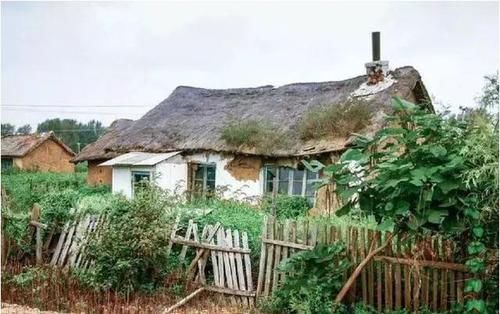 政策变了，延津这6种宅基地不再属于自己！子女无法继承