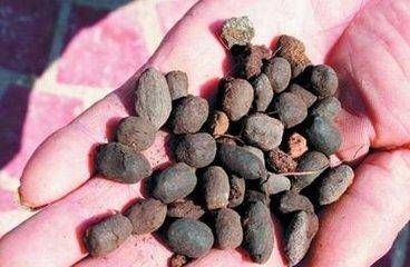  「养花」常见的1种“料”，别嫌脏，用来养花就是“肥料”，养啥旺啥！