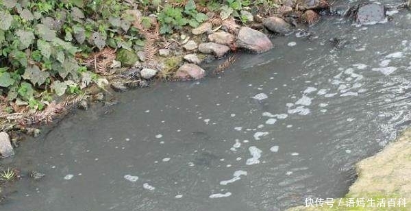 好消息！农村推行“4大革命”，农民生活更好，农村户口要升值！