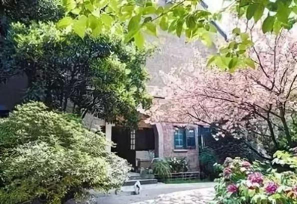 我家有一个大花园，这花园里蜂子，蝴蝶，蜻蜓，蚂蚱，样样都有