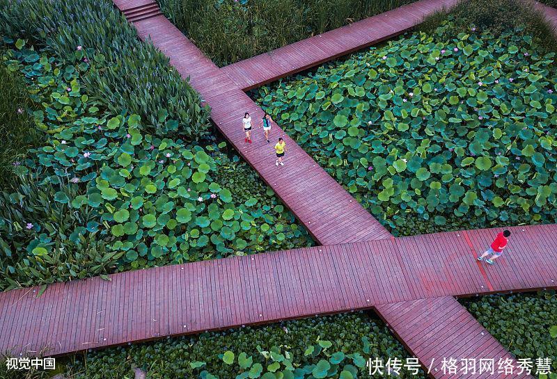  「都市」杭州与南京为什么没进入国家中心城市