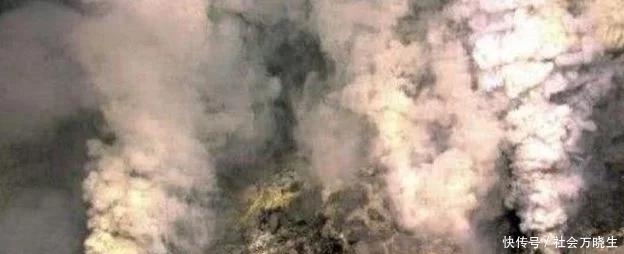  『火山』地球上最耐热的动物，“火山”是它的游泳池