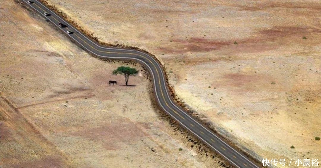 直击外国人给植物“让道”后修建的建筑, 每一个都值得赞赏