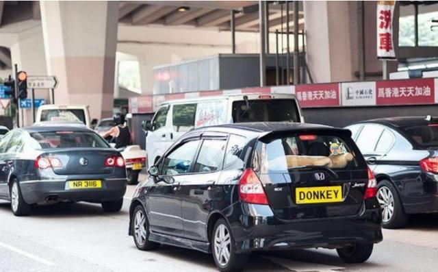  条件@港珠澳大桥通车，为啥很多车主到了掉头就走？车主：没条件