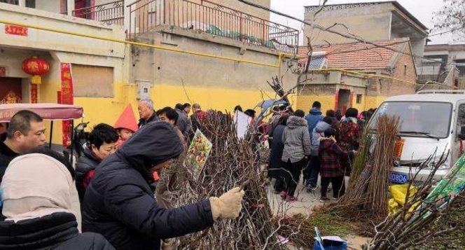  利用|农村一种“新骗局”：利用农民占便宜的心理，盗取个人信息