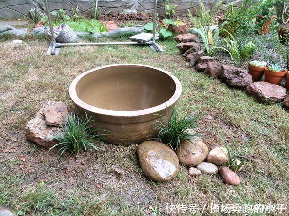 「李小姐还」她将荒芜的后院,改造成最美花园,完工一年后,让人惊艳