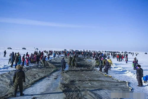 查干湖的鱼为何越捞越多？当地渔民无奈说出其中的原因！