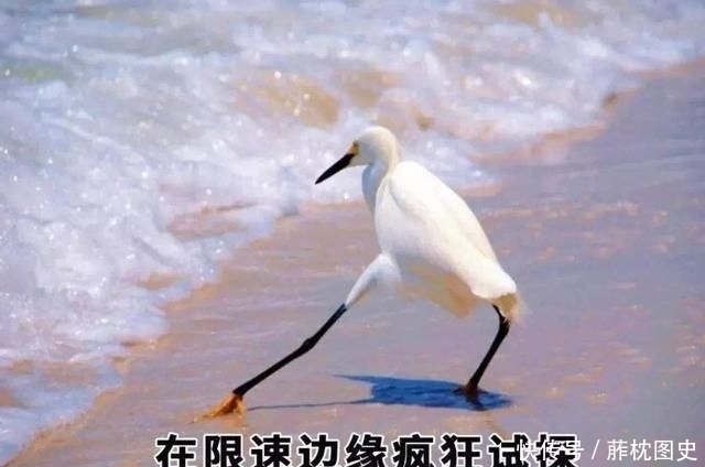  【电信】携号转网全国上线第17天，电信突然实施新规！网友：移