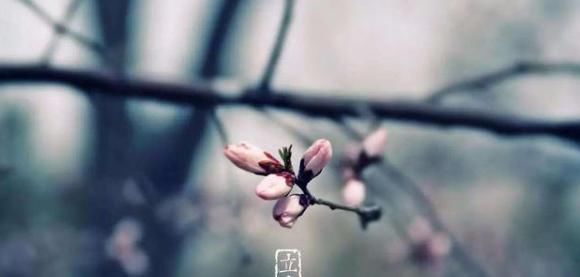  「道理」俗语“十九年头七年寡，鼠年难逢双春年”是何意？有道