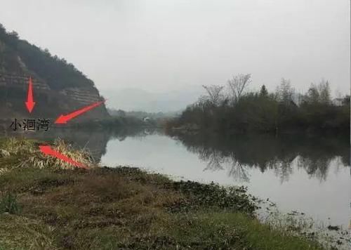 水草：野外钓鱼如何选择地点？注意这几个特征，基本都是鱼窝！