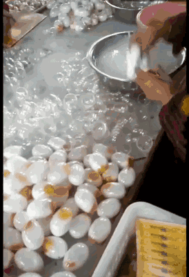 最近公布的八大谣言丨你上当了吗?