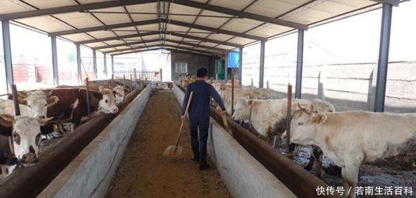  【点名】农村禁养出台，这3类已被点名列入禁养名单，农民别抱侥