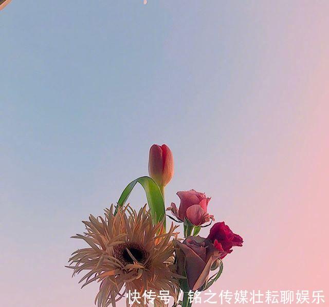  #好运#「晚安」再等等，花都开好了，你的好运也快来了