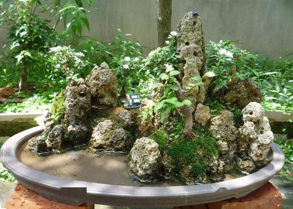 拆开:拆开山水盆景才恍然大悟,原来植物要这样才能固定在山石盆景!