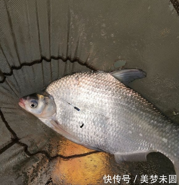 『钓友』钓鱼真的能穷三代?心态摆正,钓鱼真的是个低消费活动