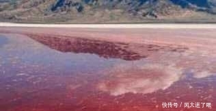 天呀！全球最致命的水域，人跳进去就无法再出来